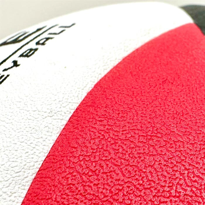 Dime SPIKE Premium Indoor Volleyball - Official Size