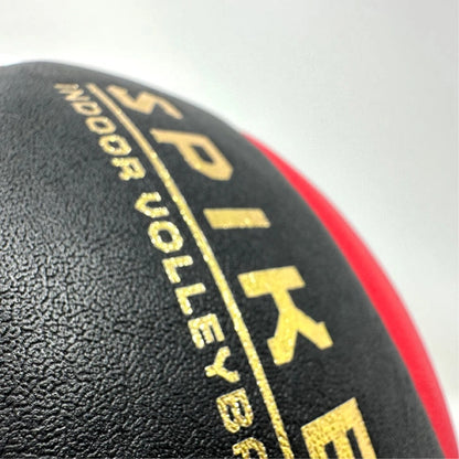 Dime SPIKE Premium Indoor Volleyball - Official Size